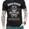 Camisa Camiseta Harley Davidson Motorcycles Devil Skull